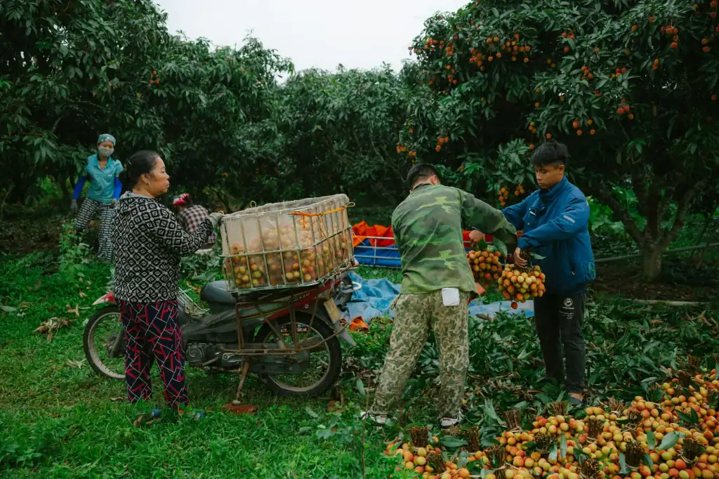 手机壳与钢化膜行业观察：镜头膜与指环扣配件如何提升终端防护体验正文配图 2