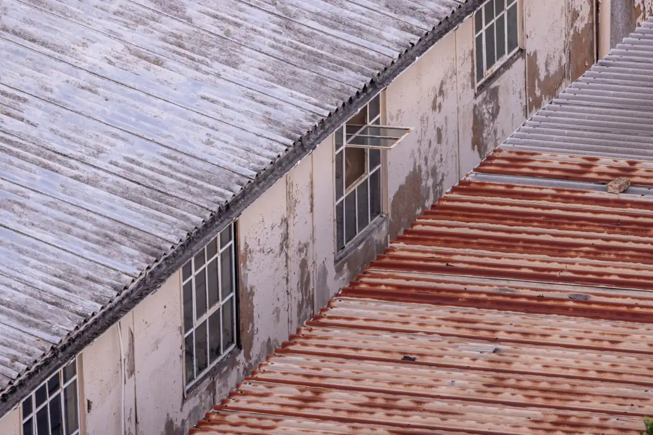 手机壳与钢化膜市场趋势：2024年手机保护配件行业动态分析