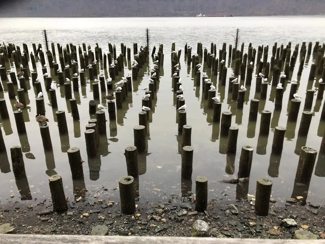 手机镜头膜与指环扣应用场景及选购方案