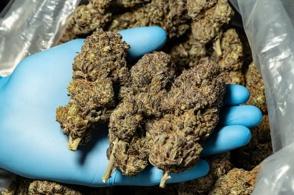 深圳手机壳与钢化膜生产工艺升级对品质管控的影响