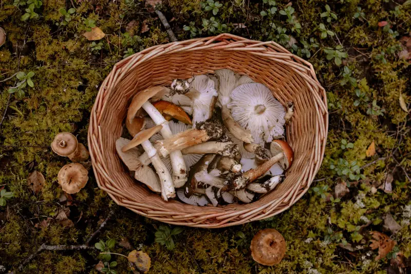 手机壳与钢化膜搭配方案：深圳墨冰科技防护配件组合指南